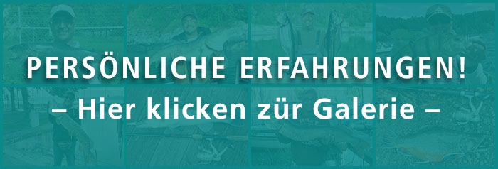 Partner-Galerie-Button