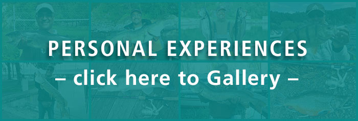 Partner-Gallery Button